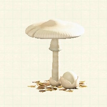 キノコのパラソル_しろキノコ