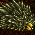 プチラヴォス・殻