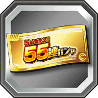 55連ガチャチケット