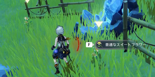 隕石付近で植物を採取する