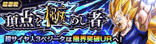 頂点を極めし者