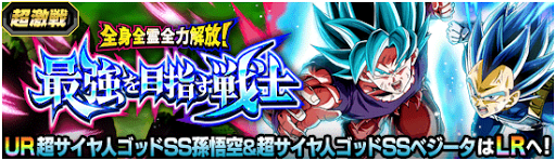 最強を目指す戦士