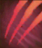 マインドブロック