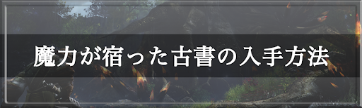 V4 魔力が宿った古書の入手方法 ブイフォー 神ゲー攻略