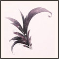 花香の羽(陰)