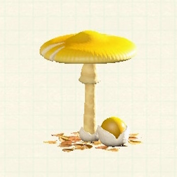 キノコのパラソル_きいろいキノコ