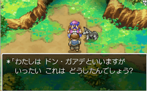 ドラクエ4＿ドン・ガアテ