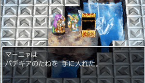 ドラクエ４＿パデキアの種