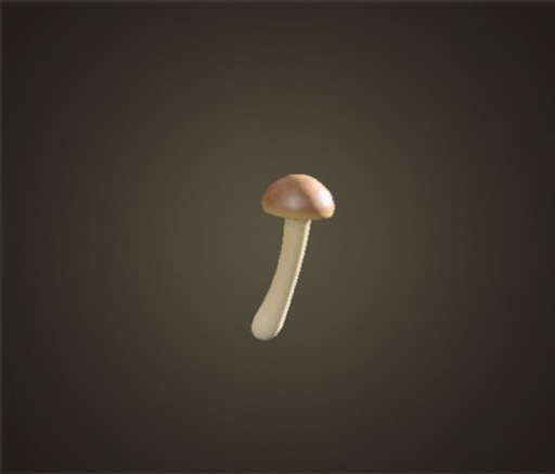 キノコのステッキ