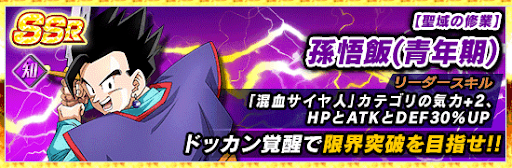 孫悟飯(青年期)