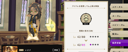 SSRカードの限界突破で使用する