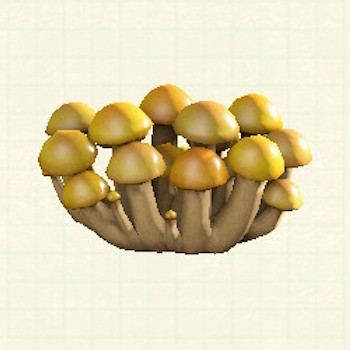 キノコのスクリーン_きいろいキノコ
