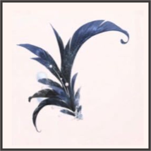 SR-花香の羽